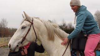 Whisper of the Earth  Idyllic Sunday and a cowboy on a white horse. Nature, work