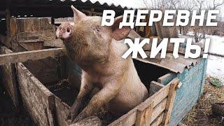 Купили дом НА ХУТОРЕ | ЖИЗНЬ простой СЕМЬИ НА ХУТОРЕ