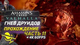 ПОСЛЕДСТВИЯ ВОЙНЫ  Assassin's Creed Valhalla ГНЕВ ДРУИДОВ  Прохождение DLC #11  PS5