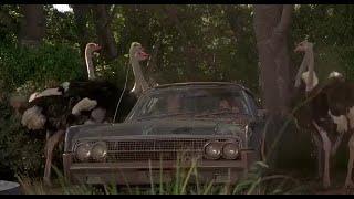 Dude Where's My Car - Ostrich attack funny Scene   at farm of a  French ostrich farmer