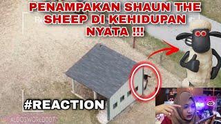 PENAMPAKAN SHAUN THE SHEEP DI KEHIDUPAN NYATA !!! - #REACTION