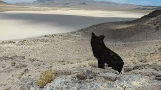 Barsoom Island at the Tule Valley Hardpan