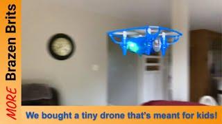 This kids indoor safe drone is so cool! | Dog vs Drone