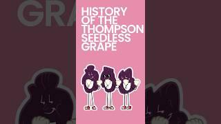 History of the Thompson Seedless Grape #shorts