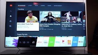 New 2019 LG NanoCell TV: 65" 4K TV!