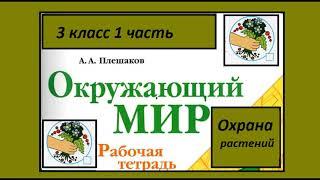 Окружающий мир 3 класс рабочая тетрадь. Охрана растений
