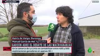 Un ganadero de Limia (Galicia) expone, las diferencia de la ganadería intensiva y extensiva🫁