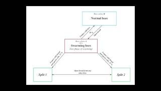 Method of prevent swarming "Castling"