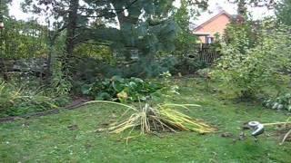 Herbstfilm, Gartenbahn Oranienburg.wmv