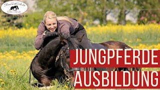 Anreiten eines Jungpferdes - Ellis Erfahrungen mit der Showreitschule Rabea Schmale