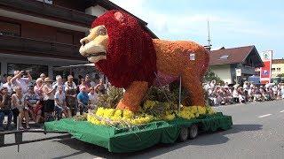 22.Blumenkorso 2019 in Ebbs, Österreich, Hödnerhof, Dahlienblüten, Oldtimer, Traktor