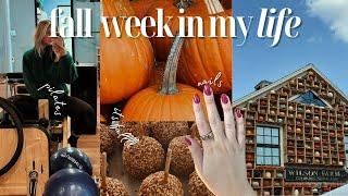 FALL WIML: where i've been, sweater weather, updated makeup routine & lulu and anthro haul