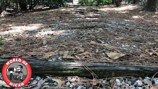 What remains of Disney's Fort Wilderness Campground Abandoned Railroad?