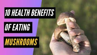 10 Health Benefits Of Eating Mushrooms Every Day