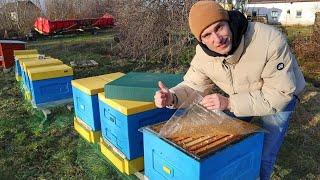 Нозематоз, осип, канді, зимовий обліт, бджоли без матки зимою. Огляд бджіл зимою!