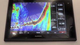 What is Garmin Panoptix?