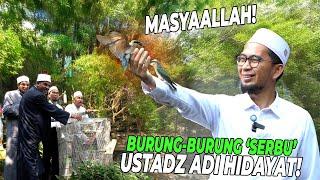 MASYAALLAH ! BURUNG-BURUNG SAMBUT  USTADZ ADI HIDAYAT DAN PARA ULAMA DUNIA..!!