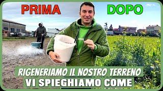 Abbiamo rigenerato un nostro terreno: guardate come!