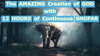 The Amazing Creation of God with 12 hours of Continuous Israel Shofar ram's horn blowing music