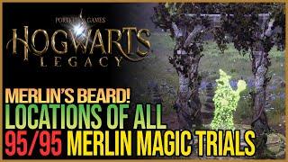 All 95 Merlin Trials Hogwarts Legacy - Merlin’s Beard Achievement