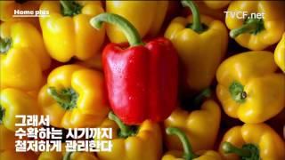 홈플러스 Homeplus 신선의 정석 #04 단단 파프리카