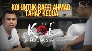 Koi Untuk Raffi Ahmad Tahap Kedua