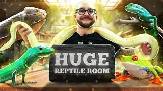 Reptile Room Tour | My Biggest and Most Impressive Animals and Enclosures!