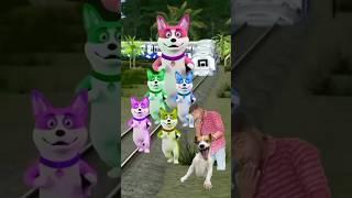 Cute dog dancing/Vfx funny train videos/train/#shorts