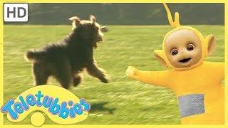 Teletubbies Full Episodes - Our Dog Alice (Season 7, Episode 157)