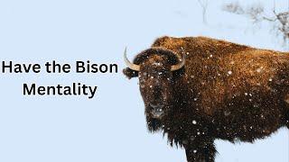 HAVE THE BISON MENTALITY- Motivational-journey of life