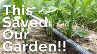 Installing Drip Irrigation in Any Sized Garden! | Drip Depot Review