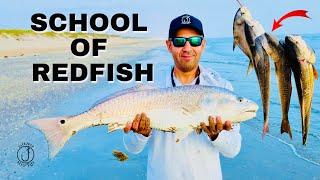 Surf Fishing in Dirty Water.. Tips & Tricks: Corpus Christi, TX ￼(2024)