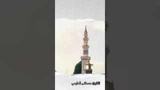 #تلاوة_خاشعة للقارئ مصطفى العليمي إمام في مسجد في#المدينة_المنورة #جمال_المدينة #اكسبلور #اشتراك