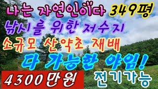 밀양청도면 나는자연인이다 소규모 산약초재배 가능한 야임 #밀양토지매매 #밀양부동산 #밀양임야매매 #밀양전원주택매매 #밀양촌집매매 #청도토지매매 #밀양땅매매 #밀양전원주택 #밀양촌집