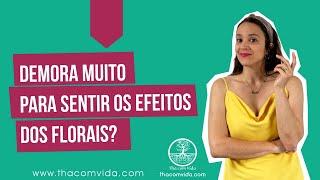 Em quanto tempo vou sentir o efeito dos florais? | Thaís Scapim