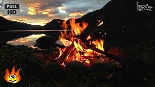 Lakeside Campfire with Relaxing Nature Night Sounds (HD)