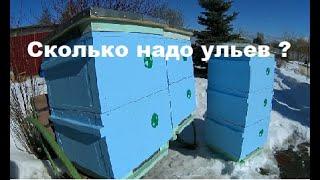 Сколько ульев нужно для одной семьи по методу Цебро ?