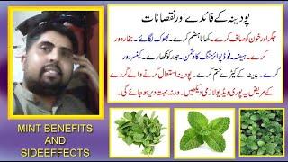 pudina ke fayday aor nuqsanat in urdu/hindi | mint herb benefits and sideeffects by jolly azeem |