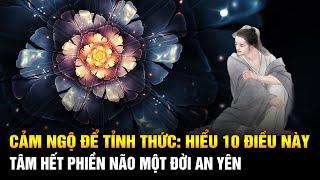 Nhân sinh tại thế: Cảm ngộ để Tỉnh thức: Hiểu 10 câu này Tâm hết phiền não cả đời bình thản an yên.