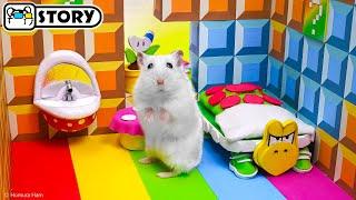  Hamster Super Mario Maze  Homura Ham Pets