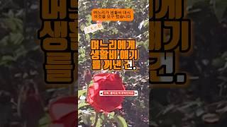 며느리가 생활비 대신 반찬을 해달라고. #사연라디오