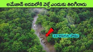 amazon rainforest animals | mystery amazon rainforest secrets | facts in telugu | interesting facts