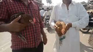 empres market@BARAMSANGATFILM by jalalghani #karachi