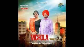 Vichola(New Punjabi Duet Song 2023) Raj Raipuri feat. Dilpreet | Music Vinod Ratti | Desi Hek Music