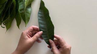 How to Make a Beautiful Mango Leaves Garland | Easy DIY Decoration Tutorial