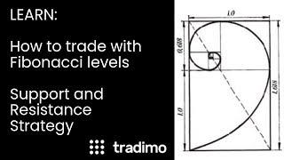 How to trade with Fibonacci Levels | Tradimo