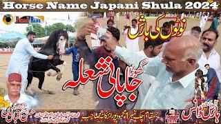 Horse Dance Pakistan l Japani Shula l 28 September 2024 l Mehmood Pura Chak No 1 Nankana Sahib