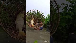 villagers traditional fishing video #shorts #abdulsamifishing #video