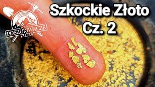 Szkockie Złoto Cz. 2