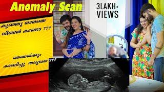 Anomaly scan | കുഞ്ഞുവാവയെ കണ്ടാലോ ( pregnancy Hospital Vlog ) | sheethal elzha official | sheethal